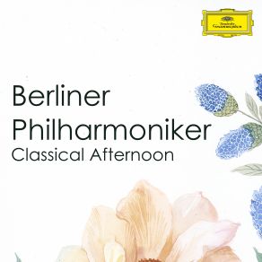 Download track Dvořák: Symphony No. 6 In D Major, Op. 60, B. 112: IV. Finale (Allegro Con Spirito) Berliner PhilharmonikerRoberto Alegro, Spirito