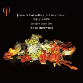 Download track (Aria: Alto): V. Doch Jesus Will Auch Bei Der Strafe Collegium Vocale, Philippe Herreweghe