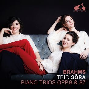 Download track Brahms Piano Trio No. 1 In B Minor, Op. 8 II. Scherzo. Allegro Molto Trio Sõra
