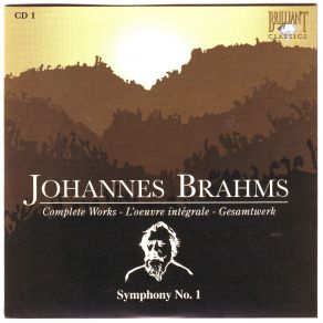 Download track Symphony No. 1 In C, Op. 68 - Andante Sostenuto Johannes Brahms