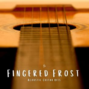 Download track Gentle Reflections Acoustic Guitar Hits