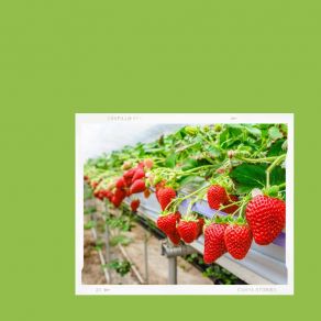 Download track Playful Backdrops For Positive Mindsets Cleaning Music Play List