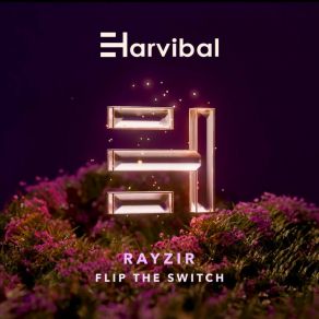 Download track Flip The Switch Rayzir