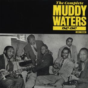 Download track I'm A Natural Born Lover Muddy Waters
