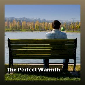 Download track Razor-Sharp Ambient Relaxing Music For Stress Relief