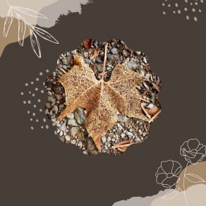 Download track Stellar Backdrops For Positive Mindsets Study Music Deluxe