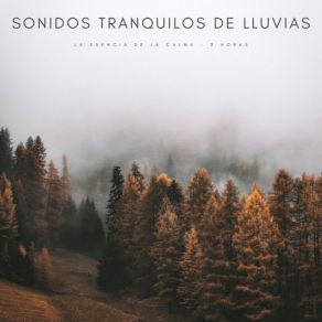 Download track Atmospheric Ambiance For Chill Out Reflections Relajacion Ambiental