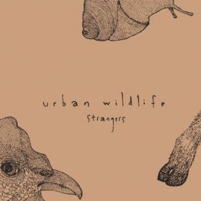 Download track Strangers Urban Wildlife