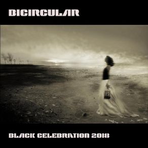 Download track It Doesn't Matter Two Bicircular