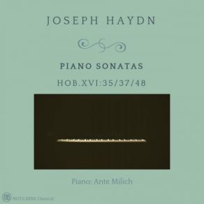 Download track Keyboard Sonata In D Major, Hob. XVi'37 I. Allegro Con Brio Ante Milich