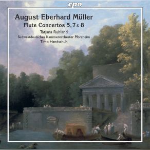 Download track Müller Flute Concerto No. 7 In D Minor, Op. 22 III. Allegro Sudwestdeutsches Kammerorchester Pforzheim, Tatjana Ruhland, Timo Handschuh