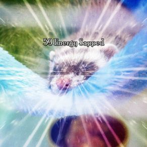 Download track Prescripted Nights Rest Nature Sound Series
