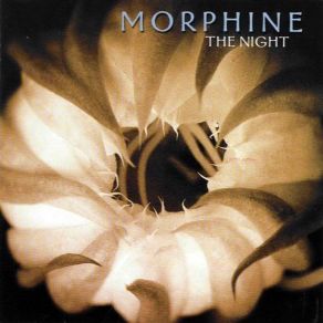 Download track A Good Woman Is Hard To Find Morphine