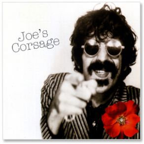 Download track How Could I Be Such A Fool? Frank Zappa