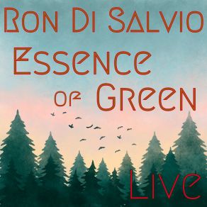 Download track Introduction To Good Morning Santa Cruz (Live) Ron Di Salvio