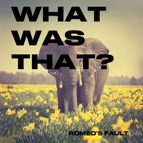 Download track WHAT WAS THAT? Romeo's Fault