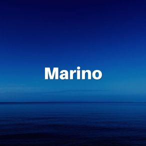 Download track Probative Ocean Relaxing Ocean Sounds