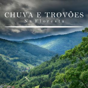 Download track Chuva E Trovões Na Floresta, Pt. 22 Som De Chuva E Trovoadas