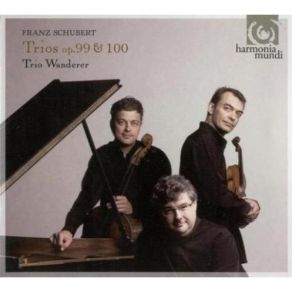 Download track Trio No. 1 Op. 99, D. 898 - Allegro Moderato Franz Schubert