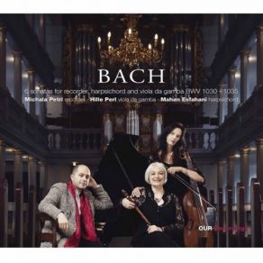 Download track Flute Sonata In E Major, BWV 1035 (Arr. For Alto Recorder & Basso Continuo) - IV. Allegro Assai' Hille Perl, Michala Petri, Mahan Esfahani