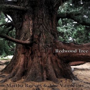 Download track I'll Have To Let Him Go Martha Reeves & The Vandellas