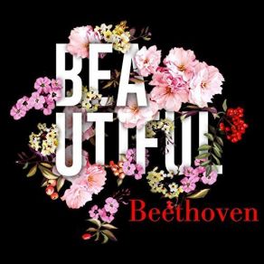 Download track Beethoven Cello Sonata No. 5 In D Major, Op. 102, No. 2, II. Adagio Con Molto Sentimento D'affeto Jörg Demus, Antonio Janigro