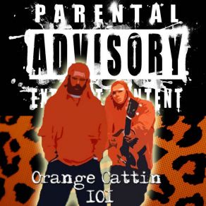 Download track I'll Never Do It Again The Orange Cats