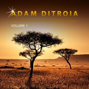 Download track I'm A Spy Adam Ditroia