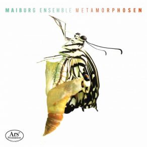 Download track 2 Mélodies Hébraïques, M. A 22 (Arr. P. Schweren For Chamber Ensemble): No. 2, L'énigme Éternelle. Tranquillo Maiburg Ensemble
