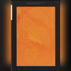 Download track The Narrow Way, Part 3 (The Journey. Concertgebouw, Amsterdam) Pink Floyd