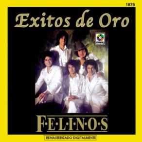 Download track Sabor A Mi Los Felinos