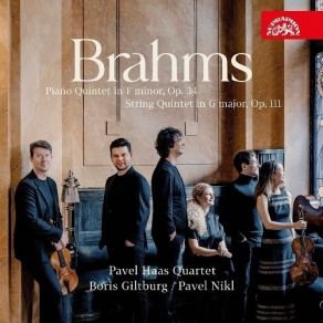 Download track 6. String Quintet No. 2 In G Major Op. 111 - II. Adagio Johannes Brahms