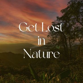 Download track Streams Flow Continually Life Sounds Nature