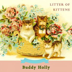 Download track I'm Gonna Set My Foot Down Buddy Holly