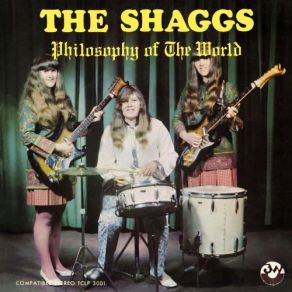 Download track I'm So Happy When You're Near The Shaggs