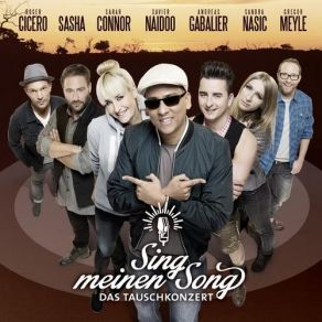 Download track Amoi Seg' Ma Uns Wieder Xavier Naidoo