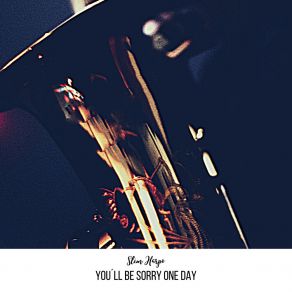 Download track Don't Start Cryin' Now Slim Harpo