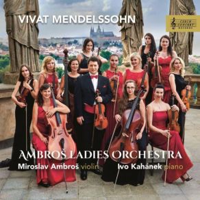 Download track Violin Concerto In D Minor, MWV O3 I. Allegro Ivo Kahanek, Miroslav Ambroš, Ambroš Ladies Orchestra