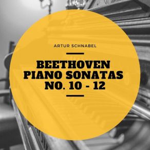 Download track Piano Sonata No. 11, In B Flat Major, Op. 22: II. Adagio Con Molto Espressione Artur SchnabelLudwig Van Beethoven