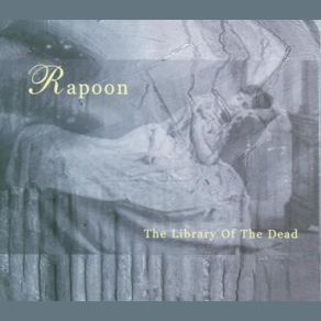 Download track Vibrations Rapoon