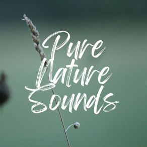 Download track When Does A Rainbow Occur In Nature Worldwide Nature Studios