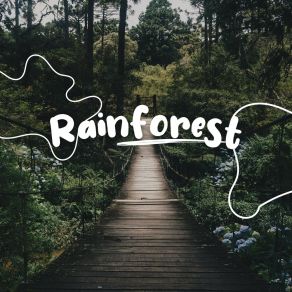 Download track Excursion In A Rainforest Thunderstorms