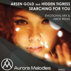 Download track Searching For You (Original Mix) Hidden Tigress, Arsen Gold