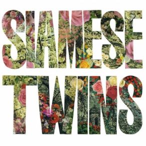 Download track Not Sorry Siamese Twins