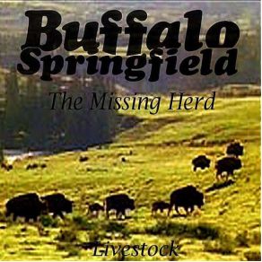 Download track Nowadays Clancy Can'T Even Sing Buffalo Springfield