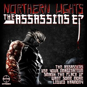 Download track Use Your Imagination Northern Lights