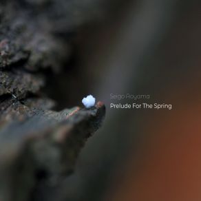 Download track Overture / Loop Seigo Aoyama