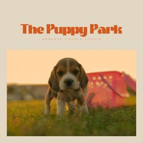 Download track Clear-Course Captain Calm Dog Music