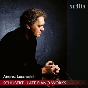 Download track Piano Sonata No. 19 In C Minor, D. 958: III. Menuetto. Allegro Andrea Lucchesini