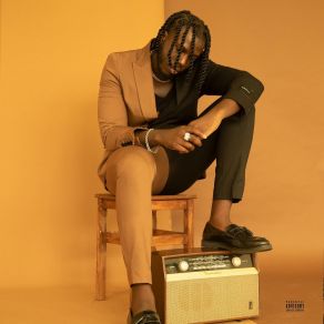 Download track On A Level Shayne Brown